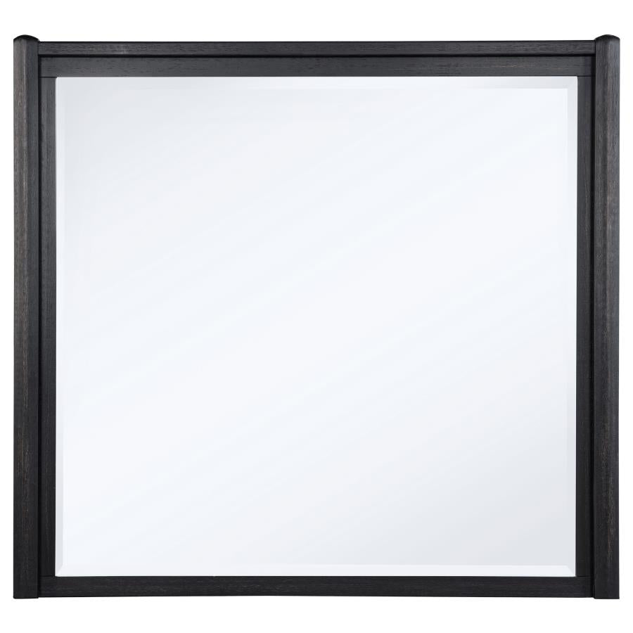 Bianca Burnished Black Dresser Mirror