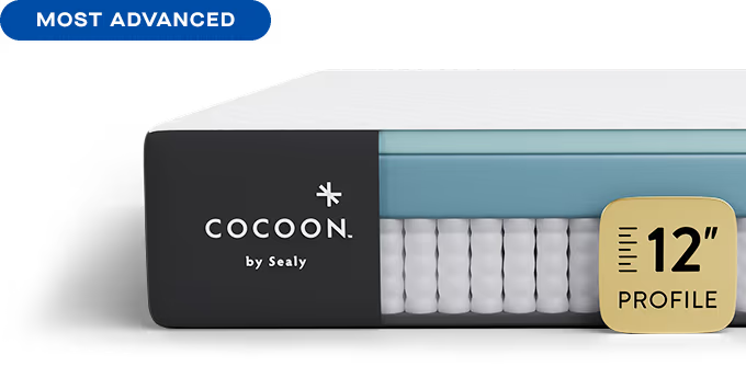 Sealy Cocoon Chill Hybrid Mattress