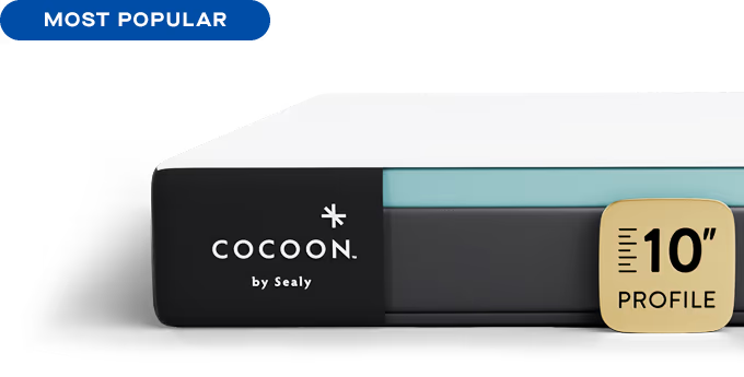 Sealy Cocoon Chill Memory Foam Mattress