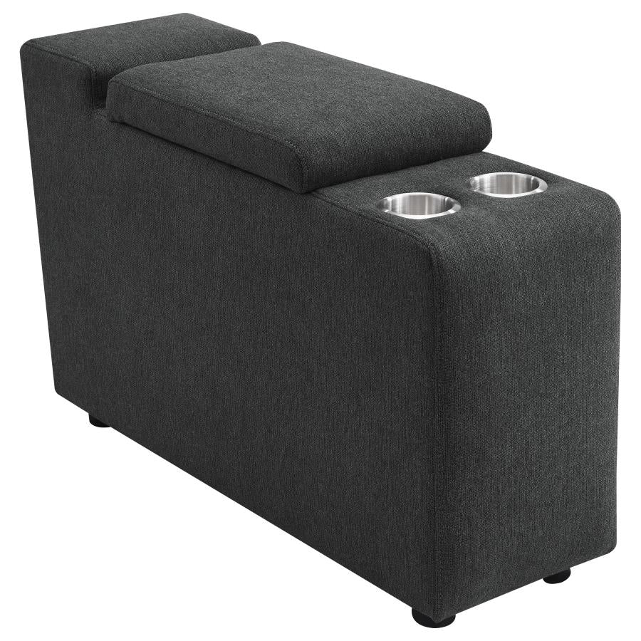 Alyssa Storage Console