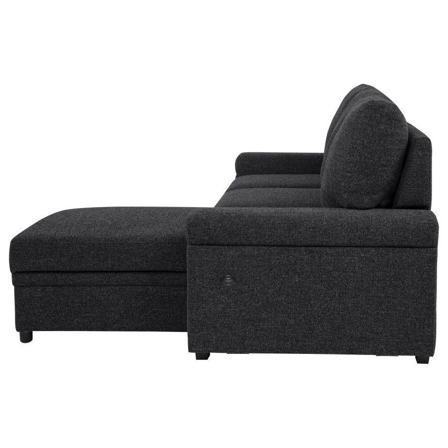 Demi Sleeper Sectional With Speaker