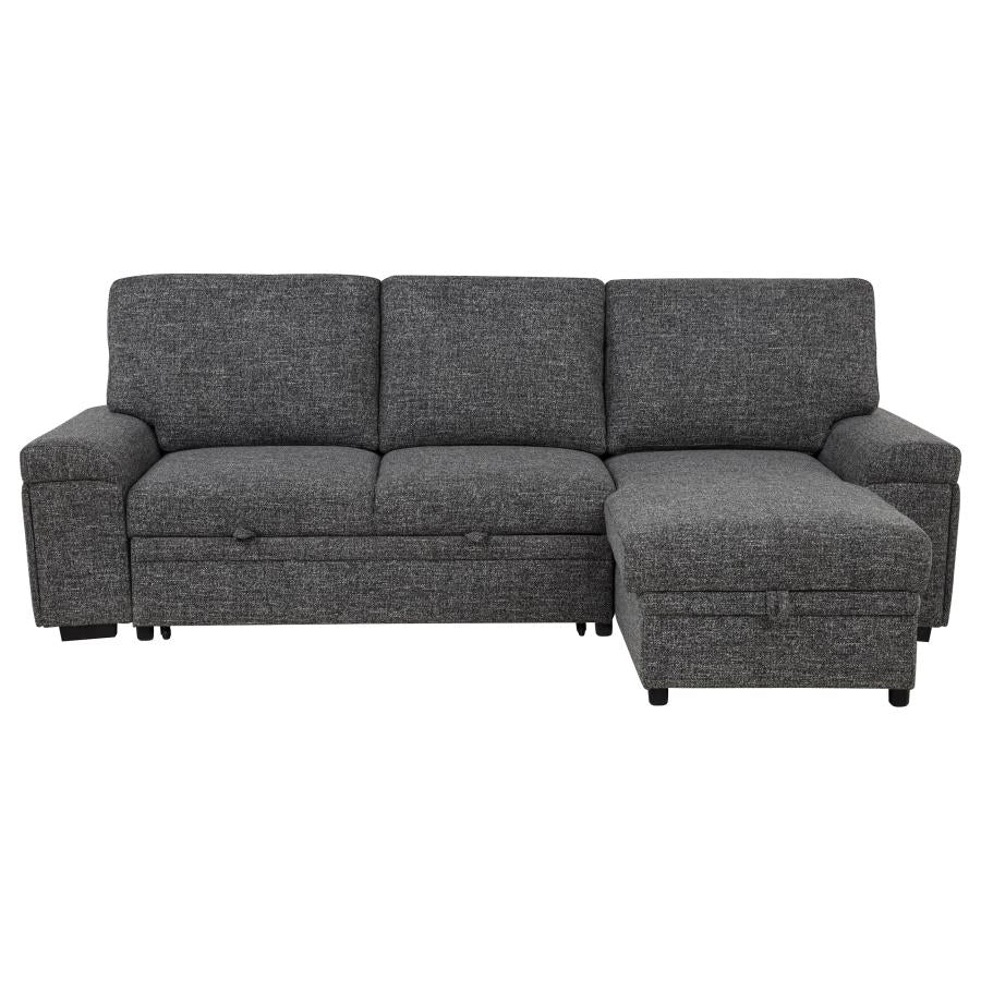 Demi Sleeper Sectional With Speaker