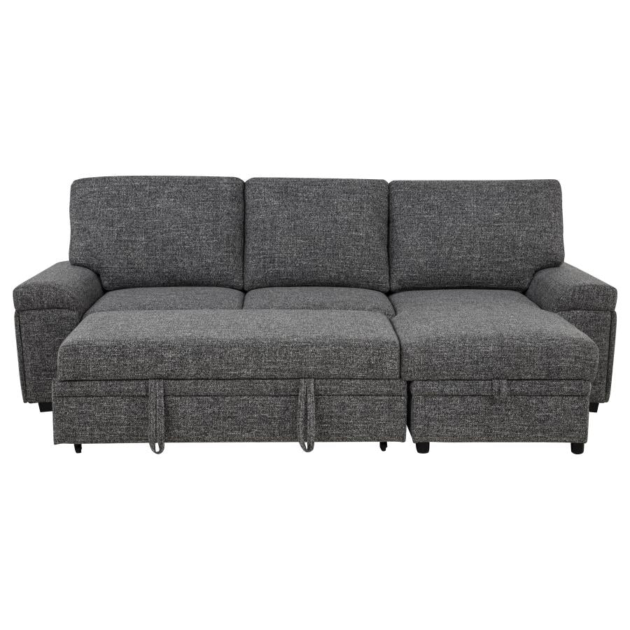 Demi Sleeper Sectional With Speaker