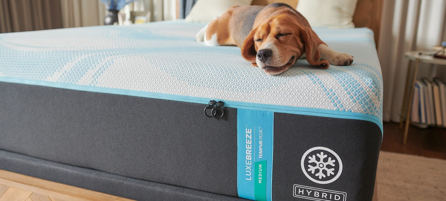 Tempur-Pedic LuxeBreeze Mattress