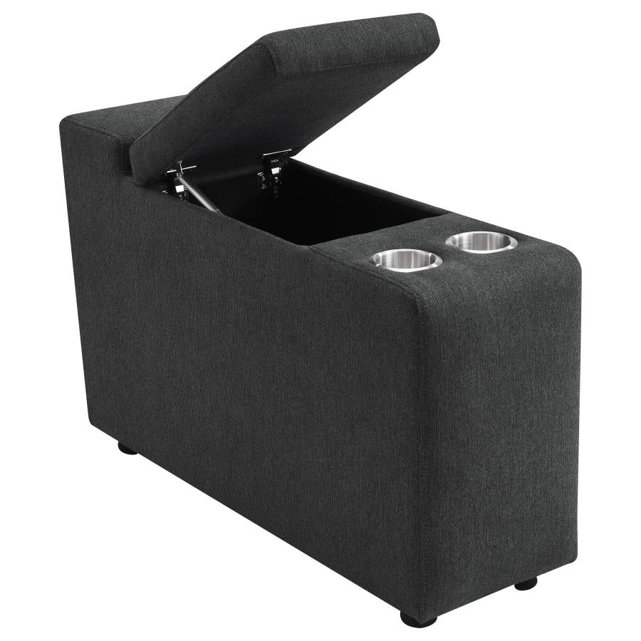Alyssa Storage Console