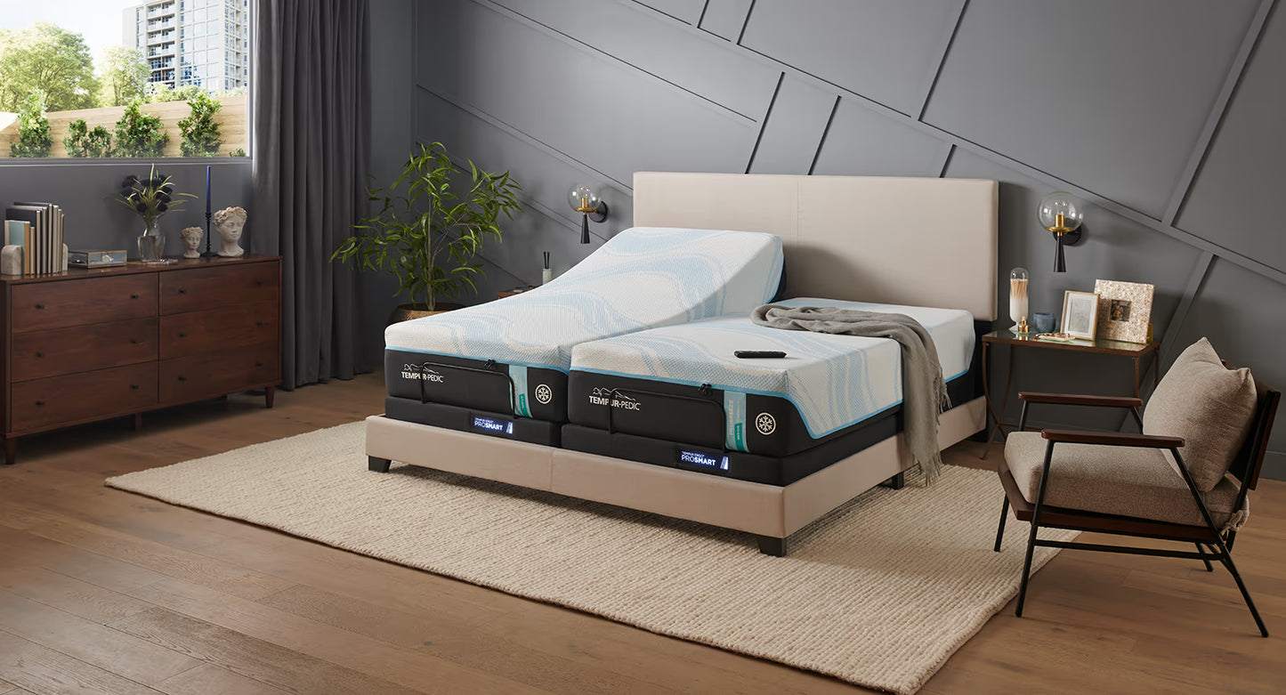 Tempur-Ergo Prosmart Base